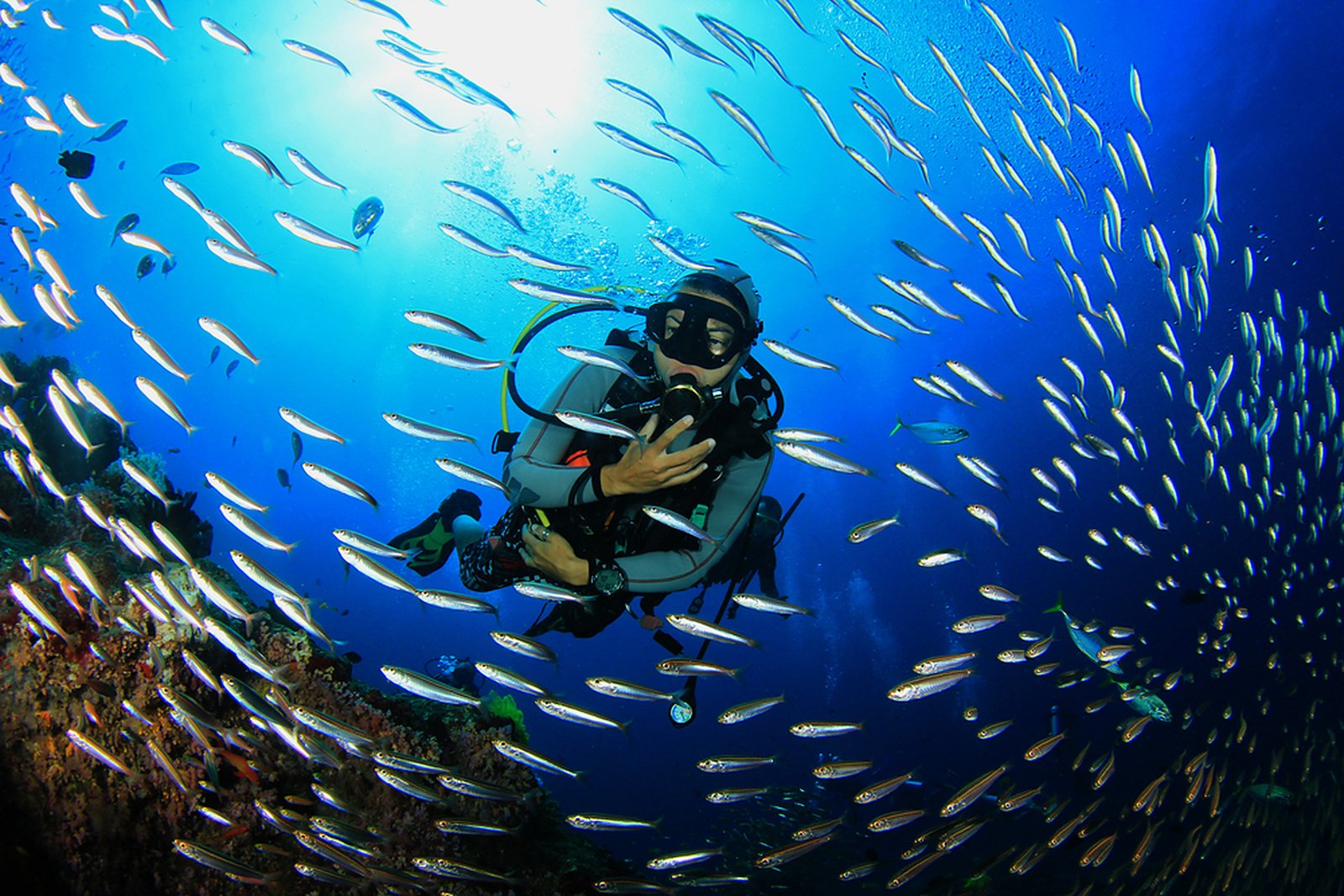 Scuba diving