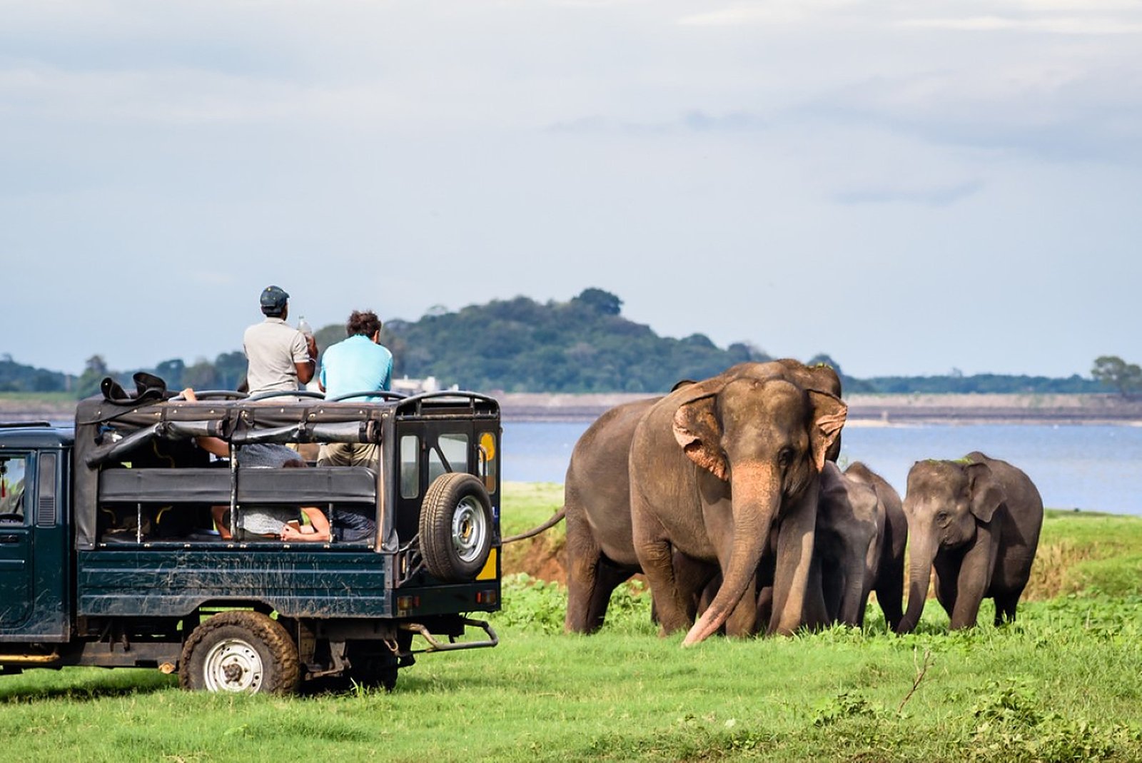 Yala safari